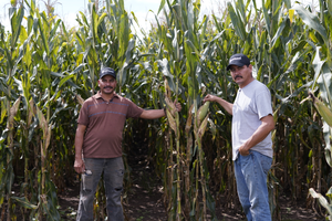 Francisco Cárdenas Domínguez