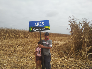 Arellano Arenas Pérez