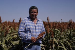 Osvaldo Valenzuela Reyes