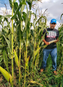 Efraín Domínguez Garduño