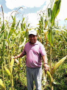 Ariel García Mendoza