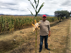 Salvador Sierra Ramírez
