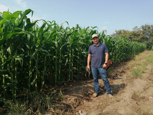 Pedro Guardado Luevanos