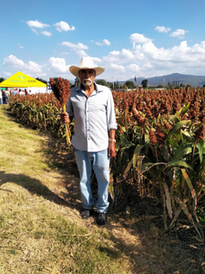 Nazario Ayala Zaragoza