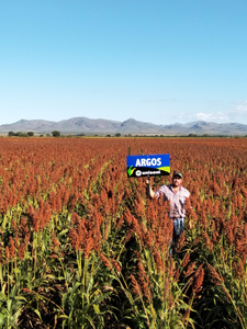 Marco Antonio Aranda