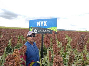 Armando Montes Segoviano