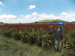 Rafael García López