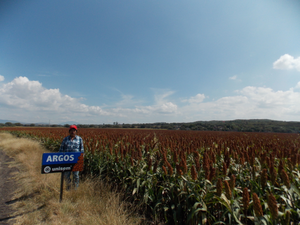 Antonio Andrade Rangel