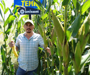 Miguel Villaseñor Ochoa