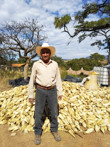 Victorio Alvarado Magallanes