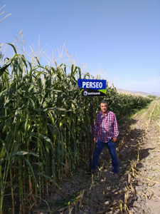 Alberto Contreras Burciaga