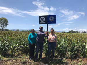 Jesús García Molina