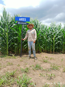 Francisco Javier Cabrales Robles