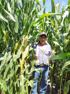 Salvador Sierra Ramírez