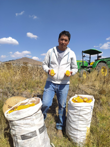 Pedro Aurelio García