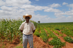 José Serapio Mancillas Medina