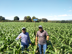 Carlos Alexis García García