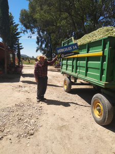 José Luis Ramírez Valadez