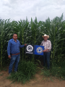 Erasmo Rodríguez Arredondo