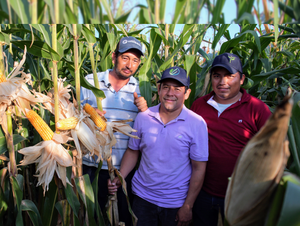 Anastácio Toledo Ocampo