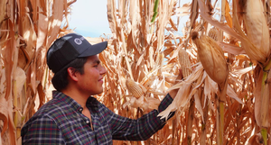 Jorge Luis Sánchez Flores