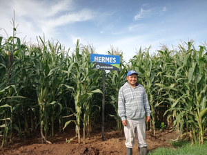Martín Vázquez García