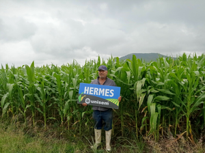José Pedro Velázquez Tovar