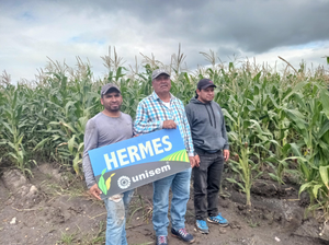 Gustavo Garduño Osornio