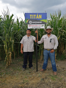 GUSTAVO VAZQUEZ CRUZ