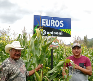 David Callejas Mejía