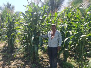 Gerardo Jacintos Secundino