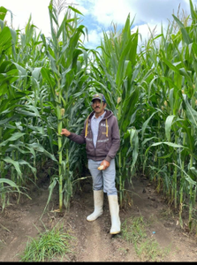 J. Natividad Ramírez Medina