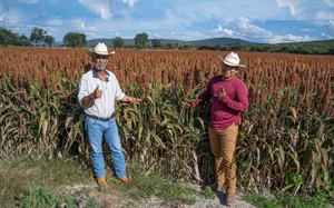 José Ricardo Alvarado