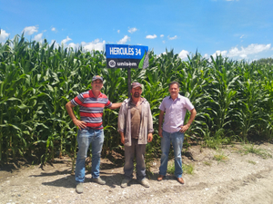 Francisco Javier Tostado Enríquez