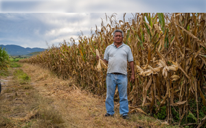 Francisco Camacho Flores