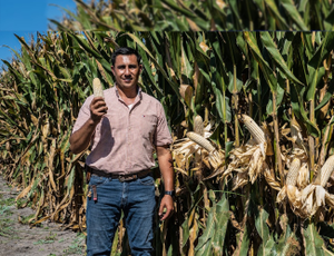 Alfredo Alejandro Ornelas Zúñiga