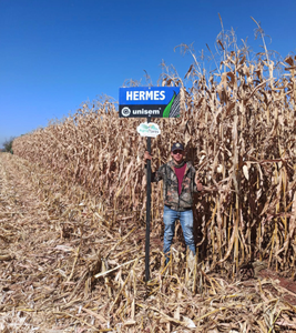 José de Jesús García Méndez