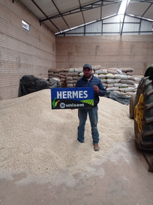 Álvaro Arroyo Piedra