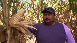Francisco Javier Machado Limón