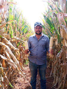 Guadalupe Mares García