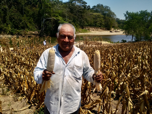 Venancio Severiano Nicolás