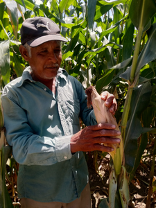 Margarito Miranda Ríos