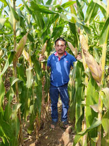 Alfredo Gutiérrez Arias