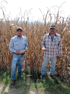 José Luis Bermúdez González