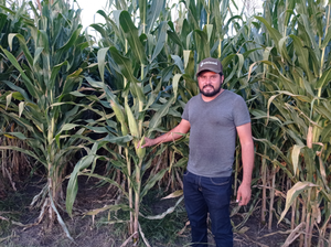 Nicolás Solorio Morillon