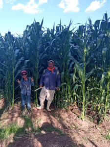 Humberto Lira Rodríguez