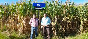 Jesús Flores Cortés