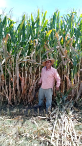 Saúl Martínez Martínez