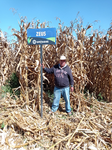 Isidoro Olvera Nicolás