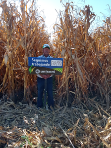 Lucio Bravo Álvarez